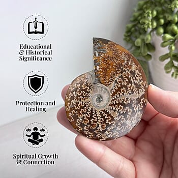 S - Product card gallery slide 2 (9431427743999)