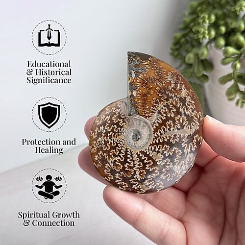 S - Product card gallery slide 2 (9431427743999)
