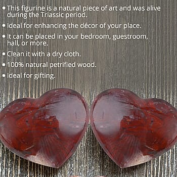 Default Title - Product card gallery slide 3 (10176791839033)