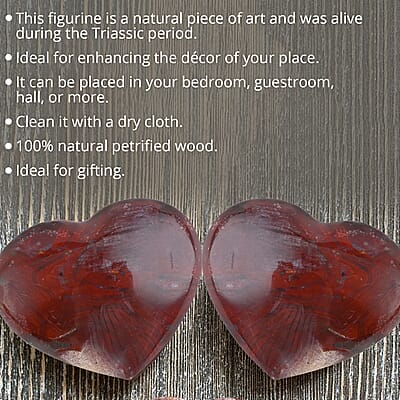 Petrified Wood Heart-S (Approx. 100ctw), Decorative Wooden Heart Figurine For Home Decor Tabletop Desk