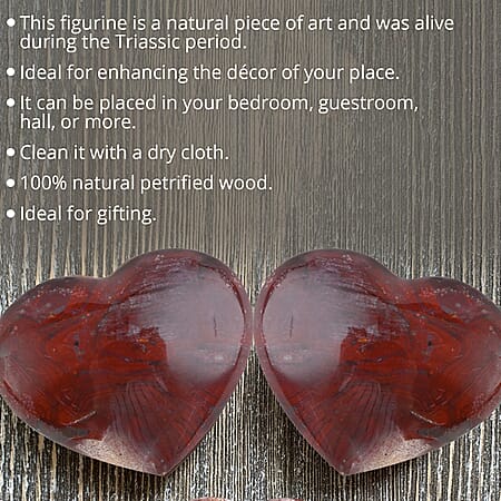 Default Title - Product card gallery slide 3 (10176791839033)