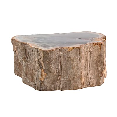 Wooden Home Decor Petrified Wood Branch- S (Approx. 2910ctw)
