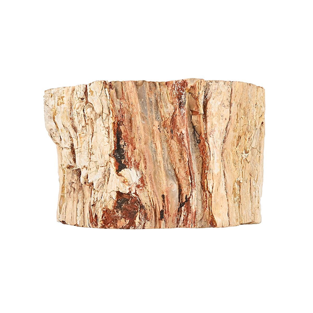 Petrified Wood Branches, Wooden Decorative Piece For Home Office Shop, Home Decor- M (Approx. 3602ctw)