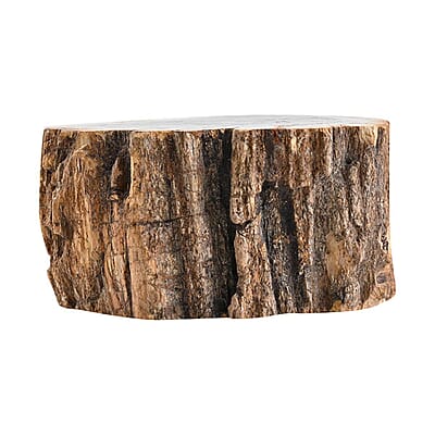 Petrified Wood Branches, Wooden Decorative Piece For Home Office Shop, Home Decor- L (Approx. 5860 ctw)