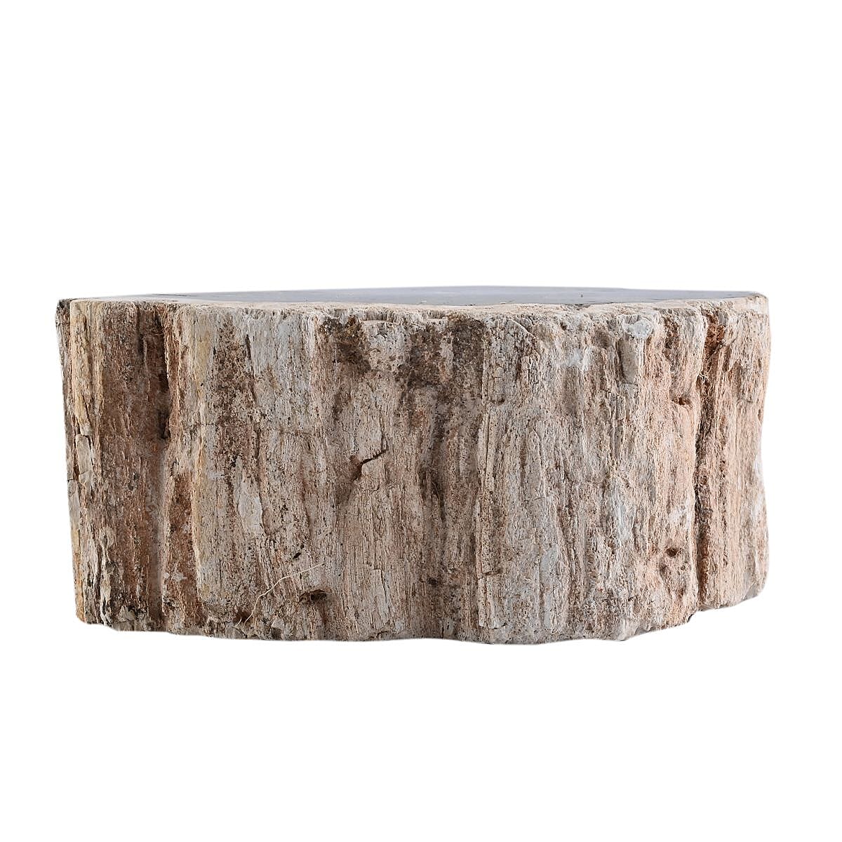 Petrified Wood Branches- S (Approx. 4899ctw) image number 2