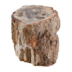 Petrified Wood Branches- S (Approx. 5216ctw)