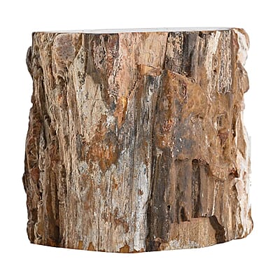 Petrified Wood Branches- S (Approx. 5216ctw)