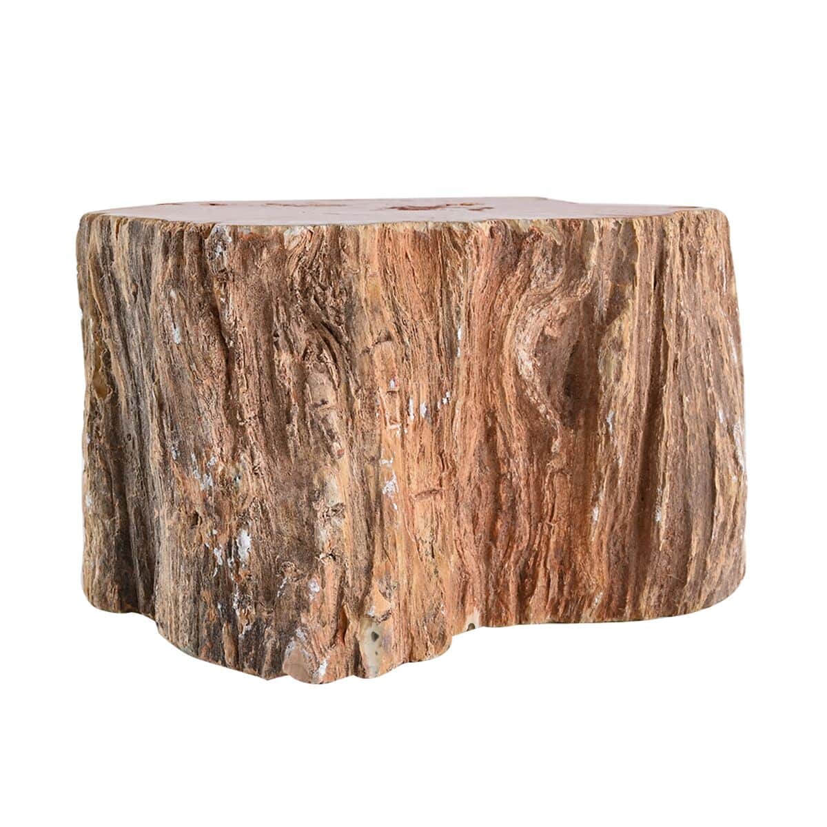 Wooden Home Decor Petrified Wood Branch- L (Approx. 7171ctw) image number 2