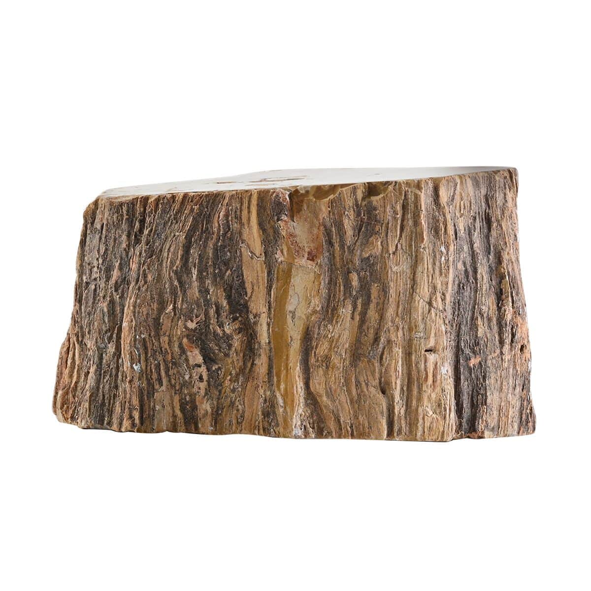 Wooden Home Decor Petrified Wood Branch- L (Approx. 7171ctw) image number 3