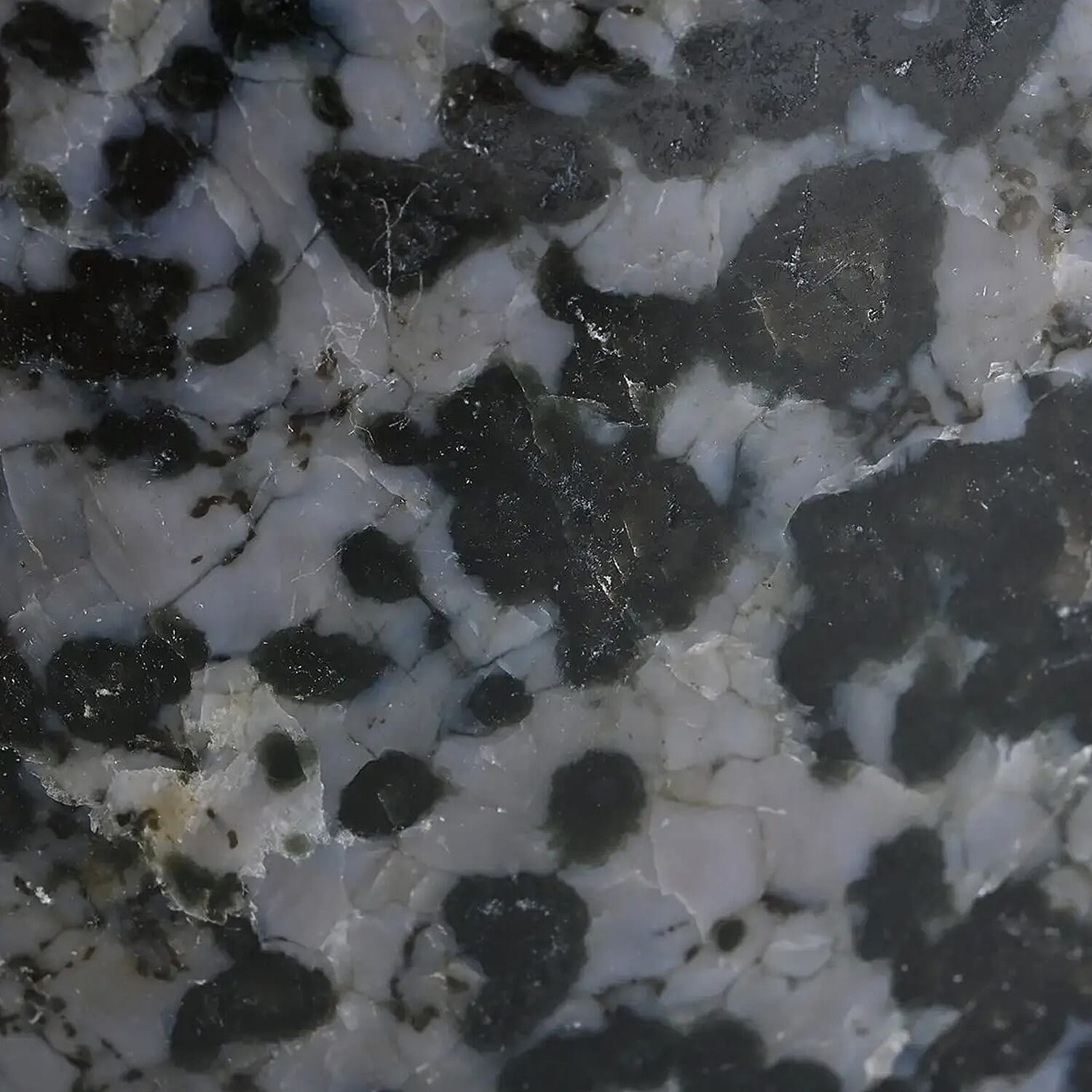 (7)
