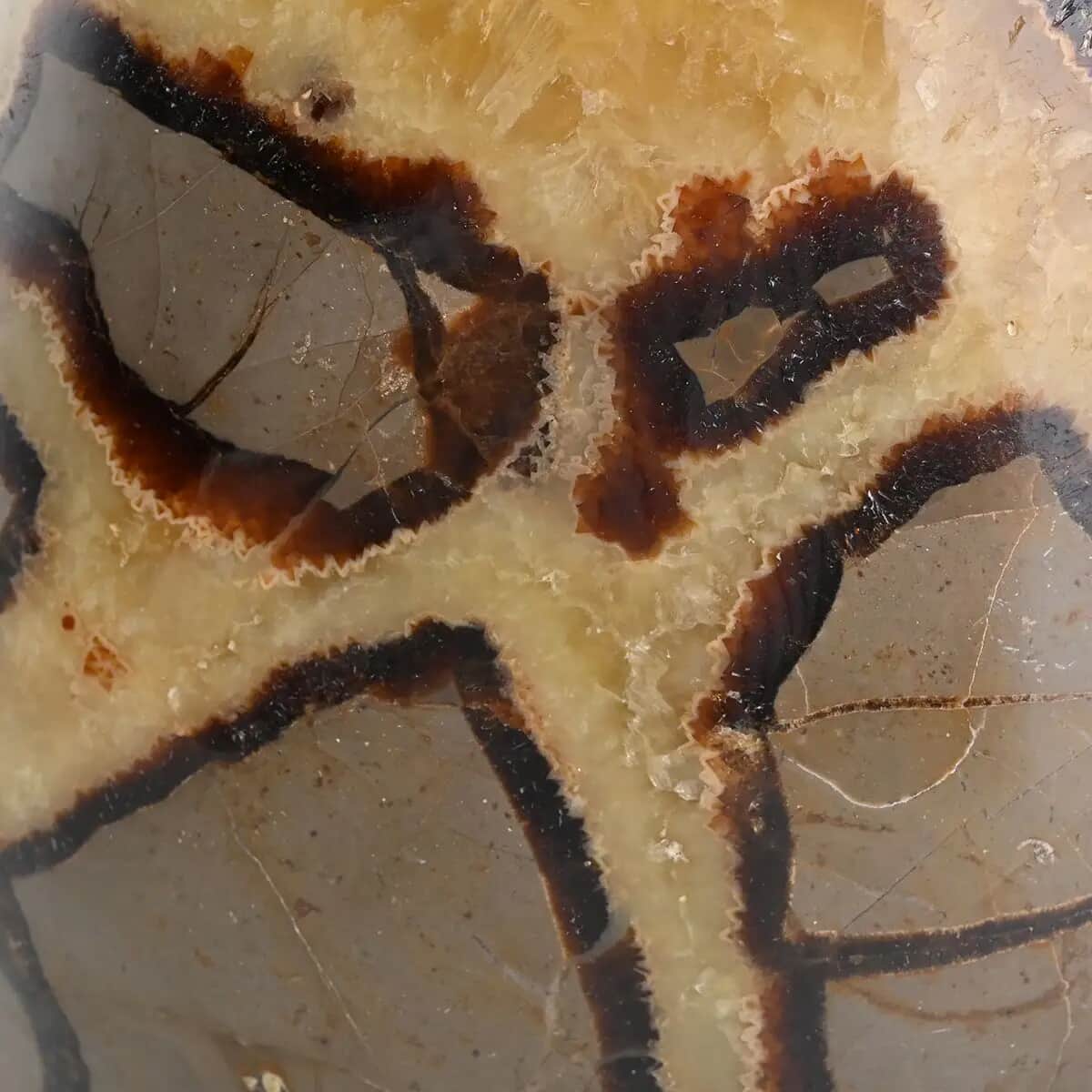 Septarian- L (Approx 9072 ctw) image number 6
