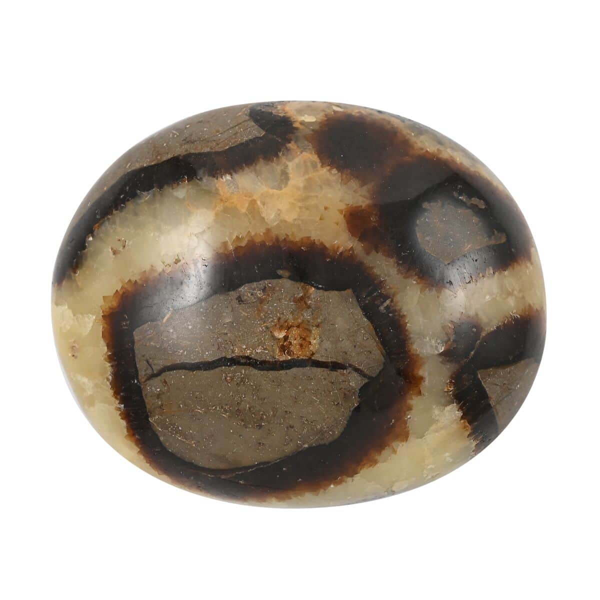 Septarian Palm Stone -M (Approx 500 ctw) image number 0