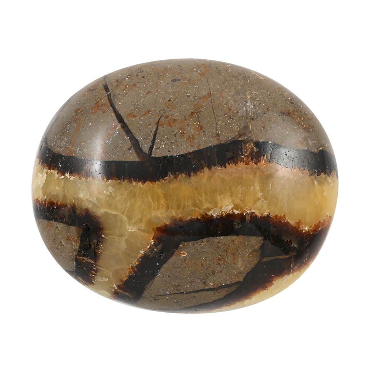 Septarian Palm Stone -M (Approx 500 ctw) image number 1