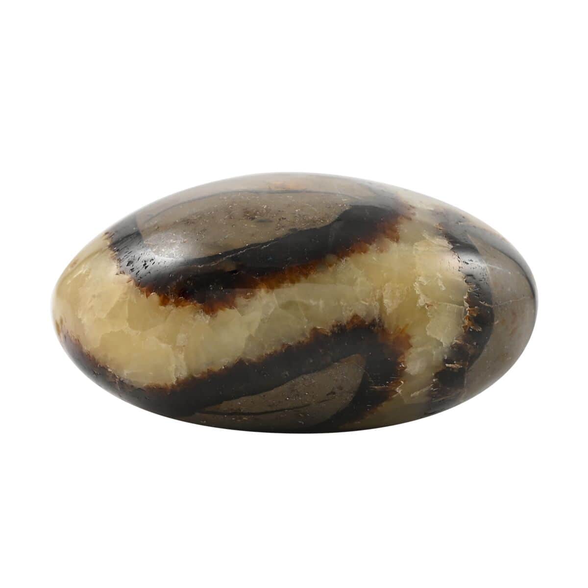 Septarian Palm Stone -M (Approx 500 ctw) image number 2