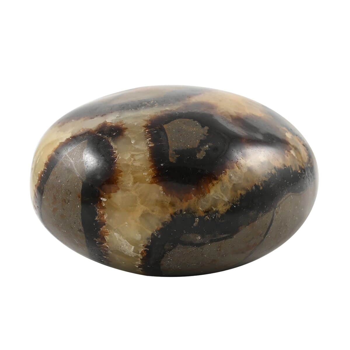 Septarian Palm Stone -M (Approx 500 ctw) image number 3