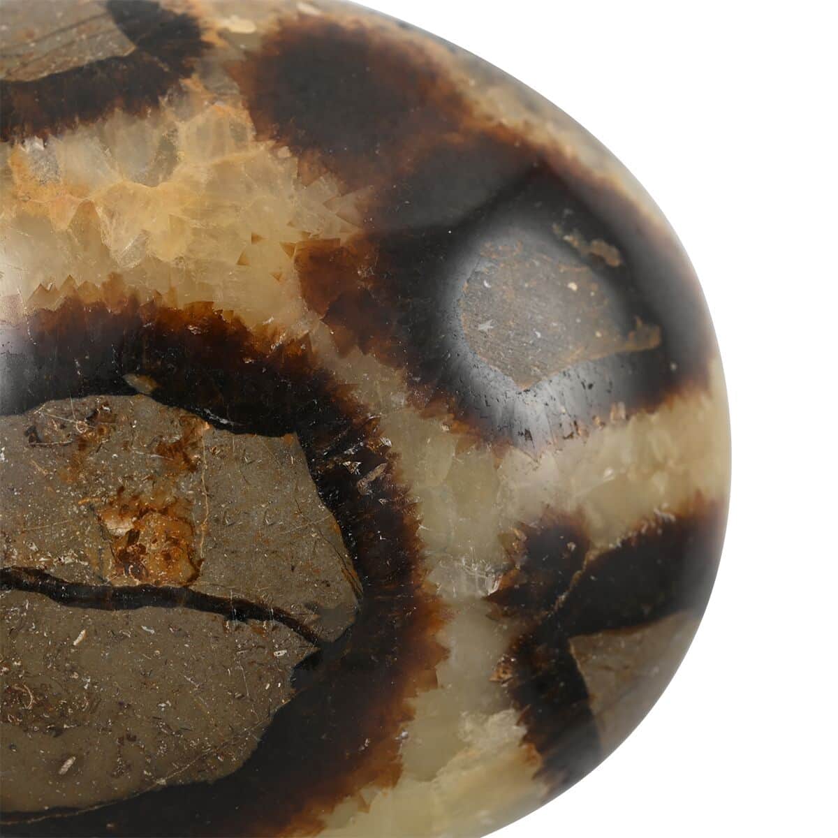 Septarian Palm Stone -M (Approx 500 ctw) image number 4