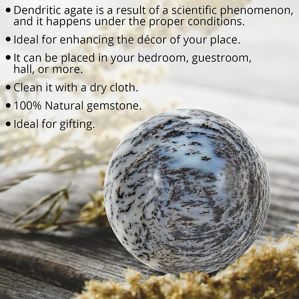 Dendrite White Agate Sphere/Egg 50mm -S (Approx. 930 ctw) image number 1