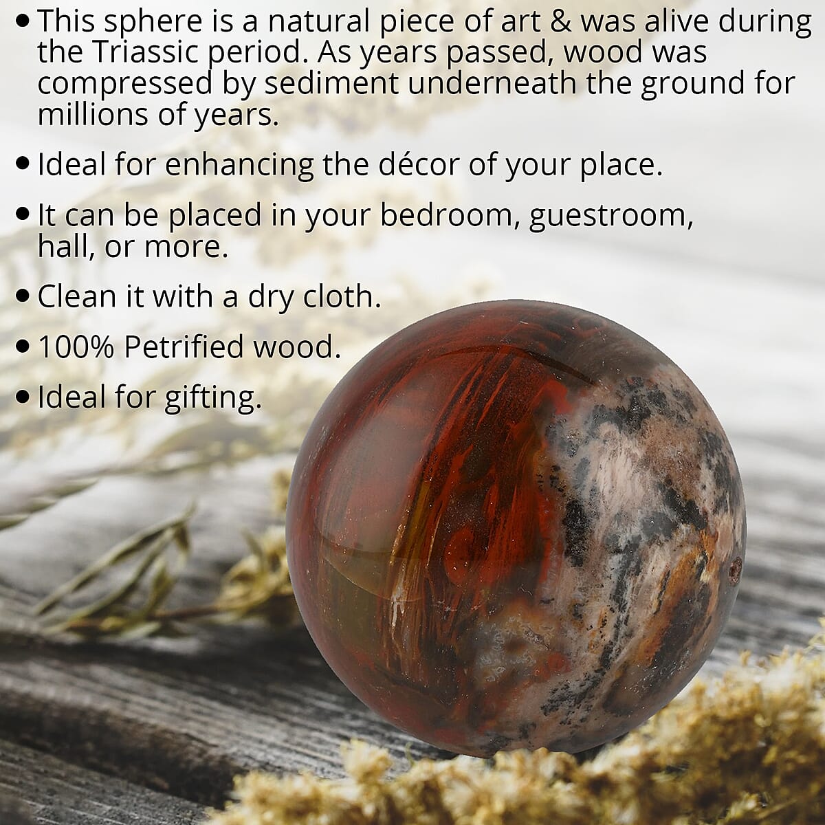 Petrified Wood Sphere 2-3 Inches -S (Approx. 1020 ctw) image number 1