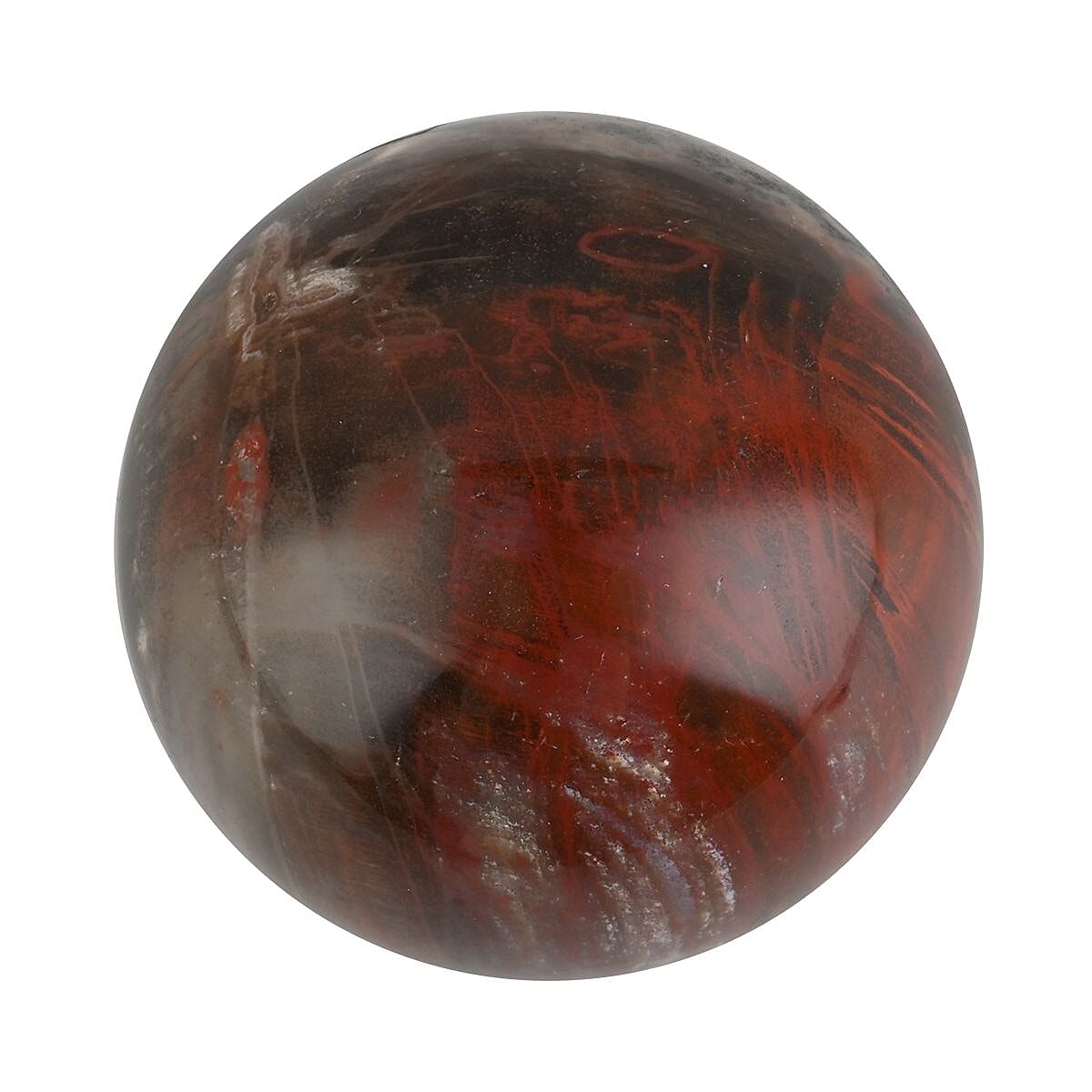 Petrified Wood Sphere 2-3 Inches -S (Approx. 1020 ctw) image number 2