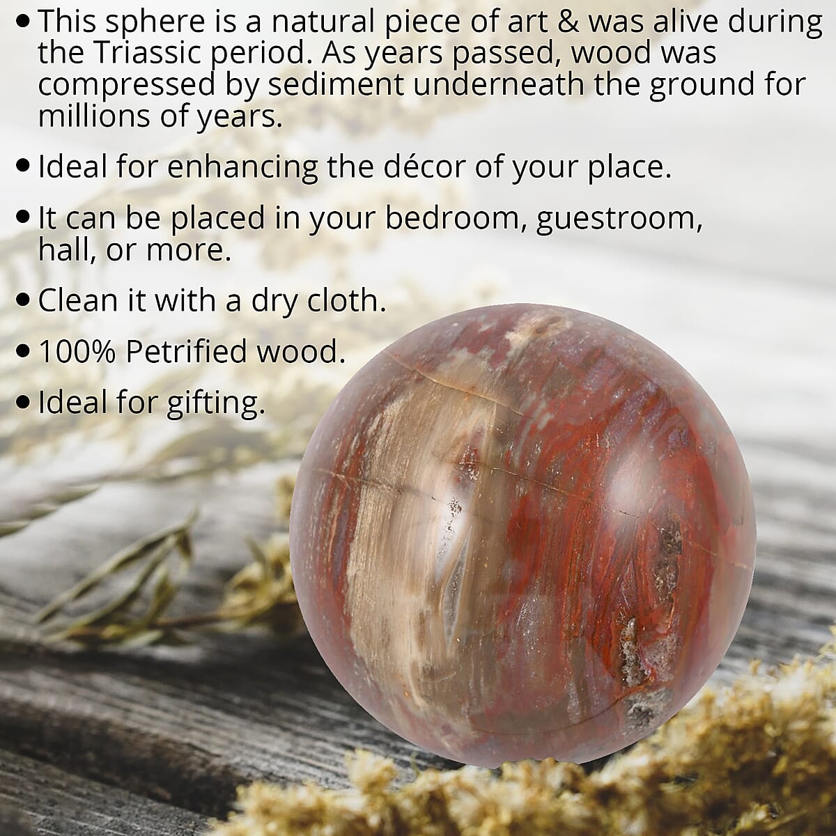 Petrified Wood Sphere 2-3 Inches -M (Approx. 2805 ctw) image number 1