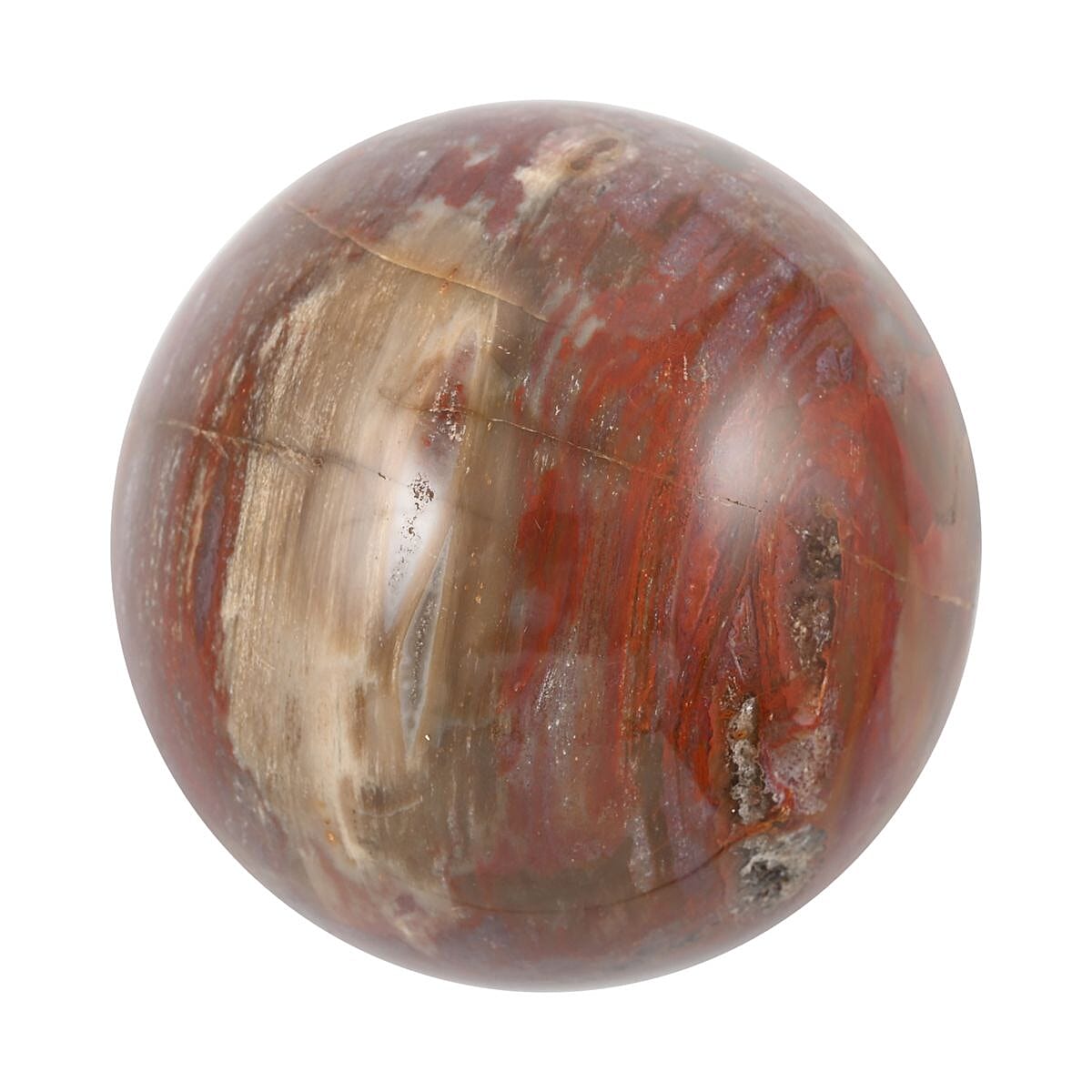Petrified Wood Sphere 2-3 Inches -M (Approx. 2805 ctw) image number 2