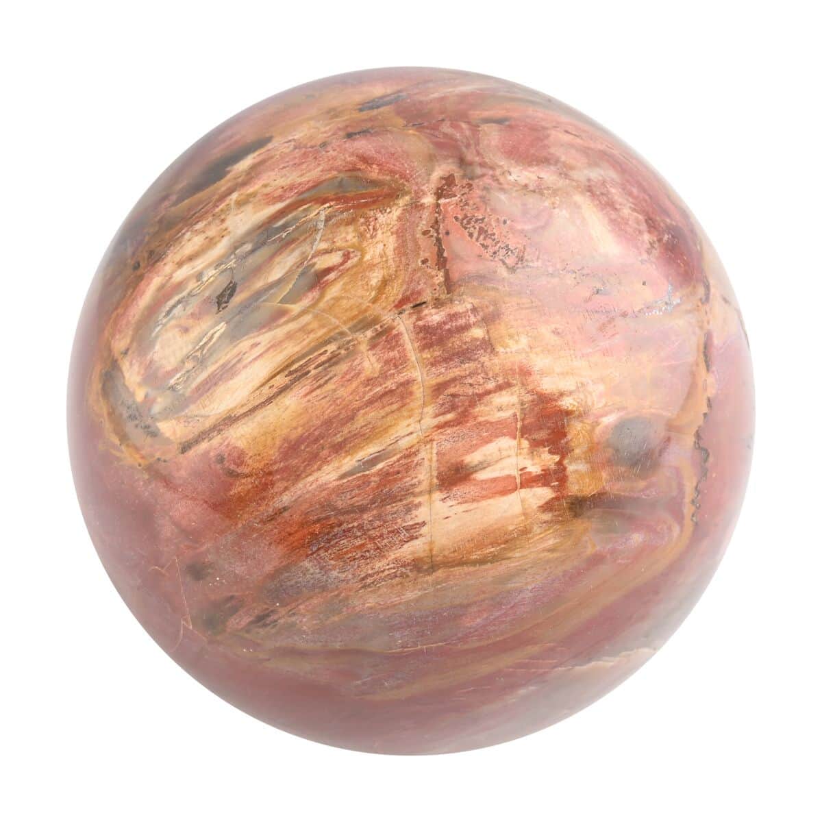 Petrified Wood Sphere 2-3 Inches -L (Approx. 8050 ctw) image number 0