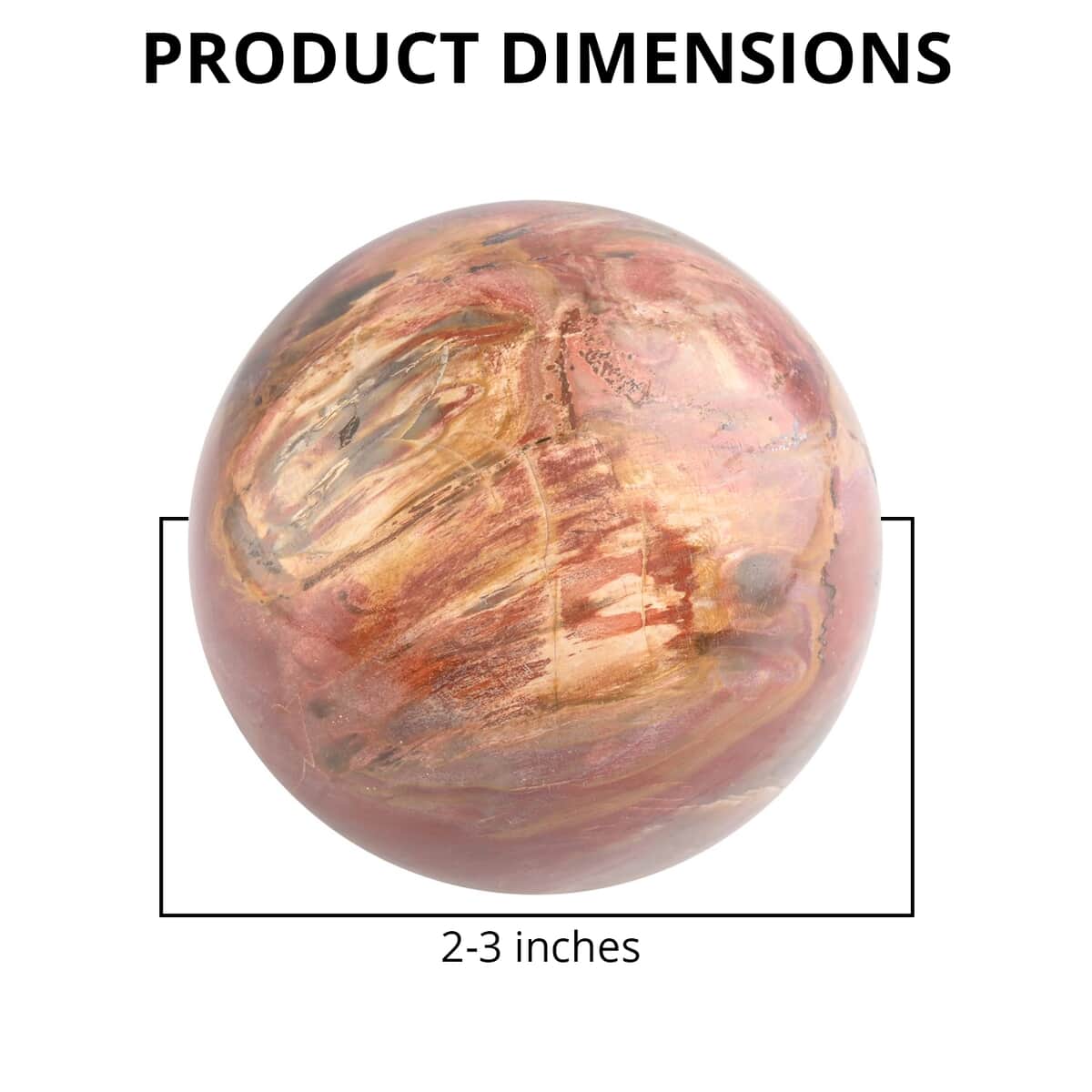 Petrified Wood Sphere 2-3 Inches -L (Approx. 8050 ctw) image number 2
