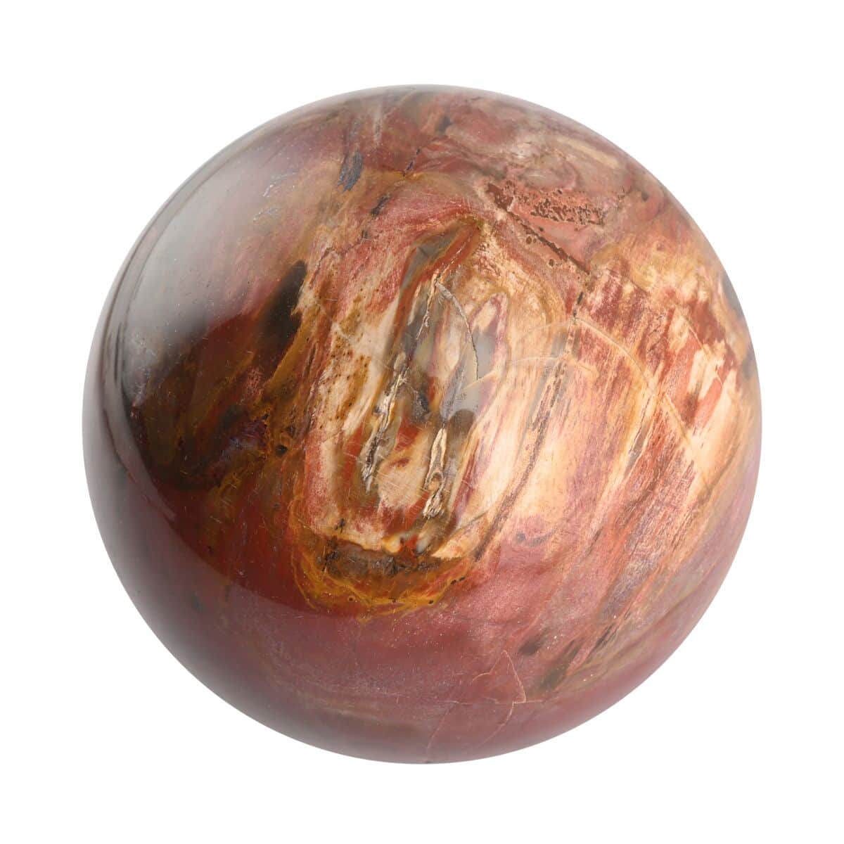 Petrified Wood Sphere 2-3 Inches -L (Approx. 8050 ctw) image number 3