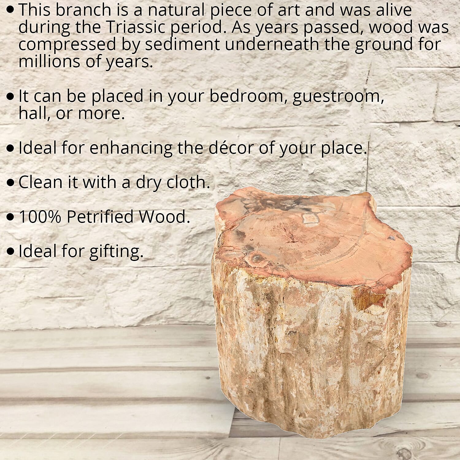 Small - Product card gallery slide 2 (9431452614911)