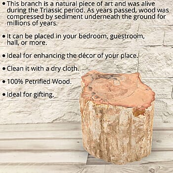 Small - Product card gallery slide 2 (9431452614911)