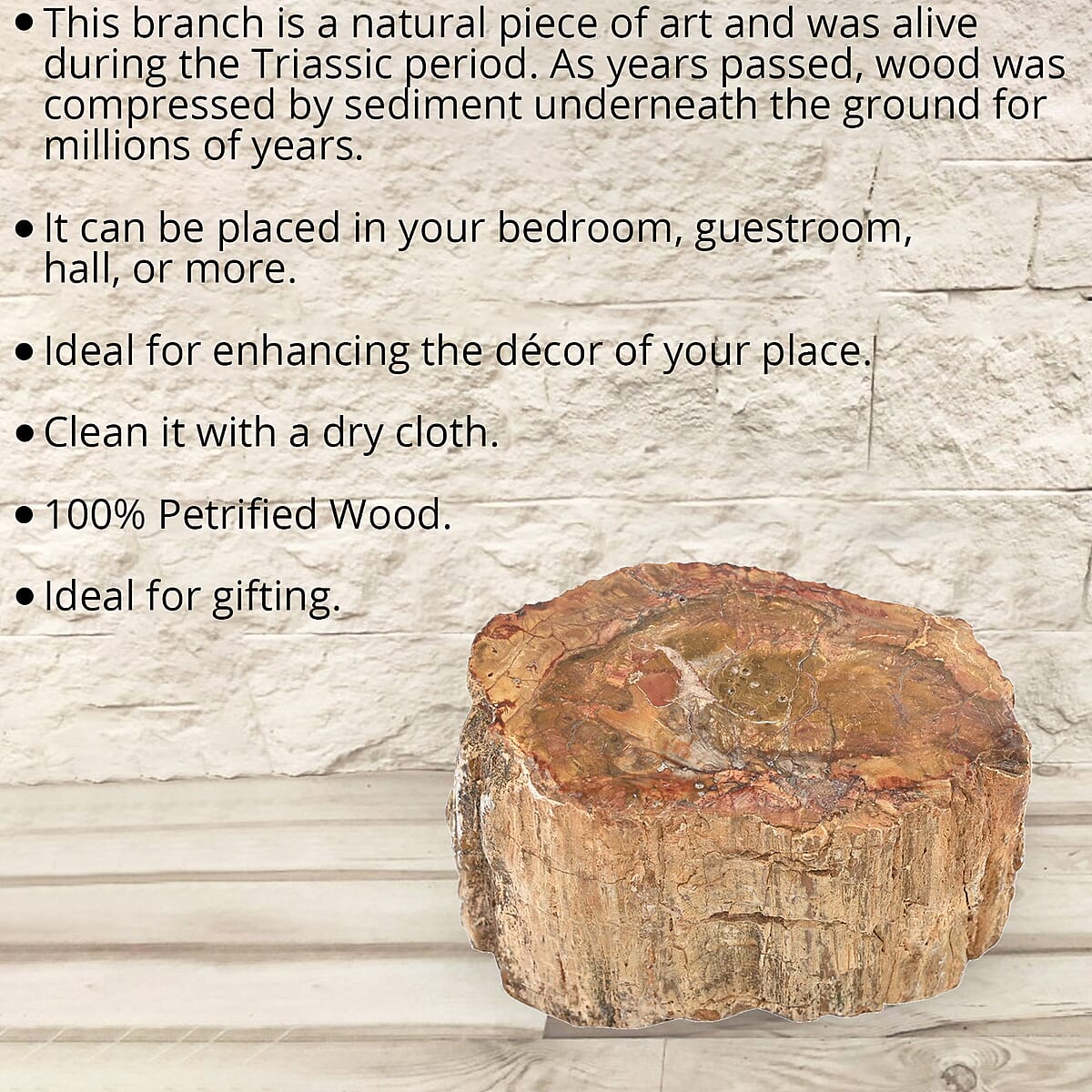 Petrified Wood Branches -M (Approx. 2395 ctw) image number 1