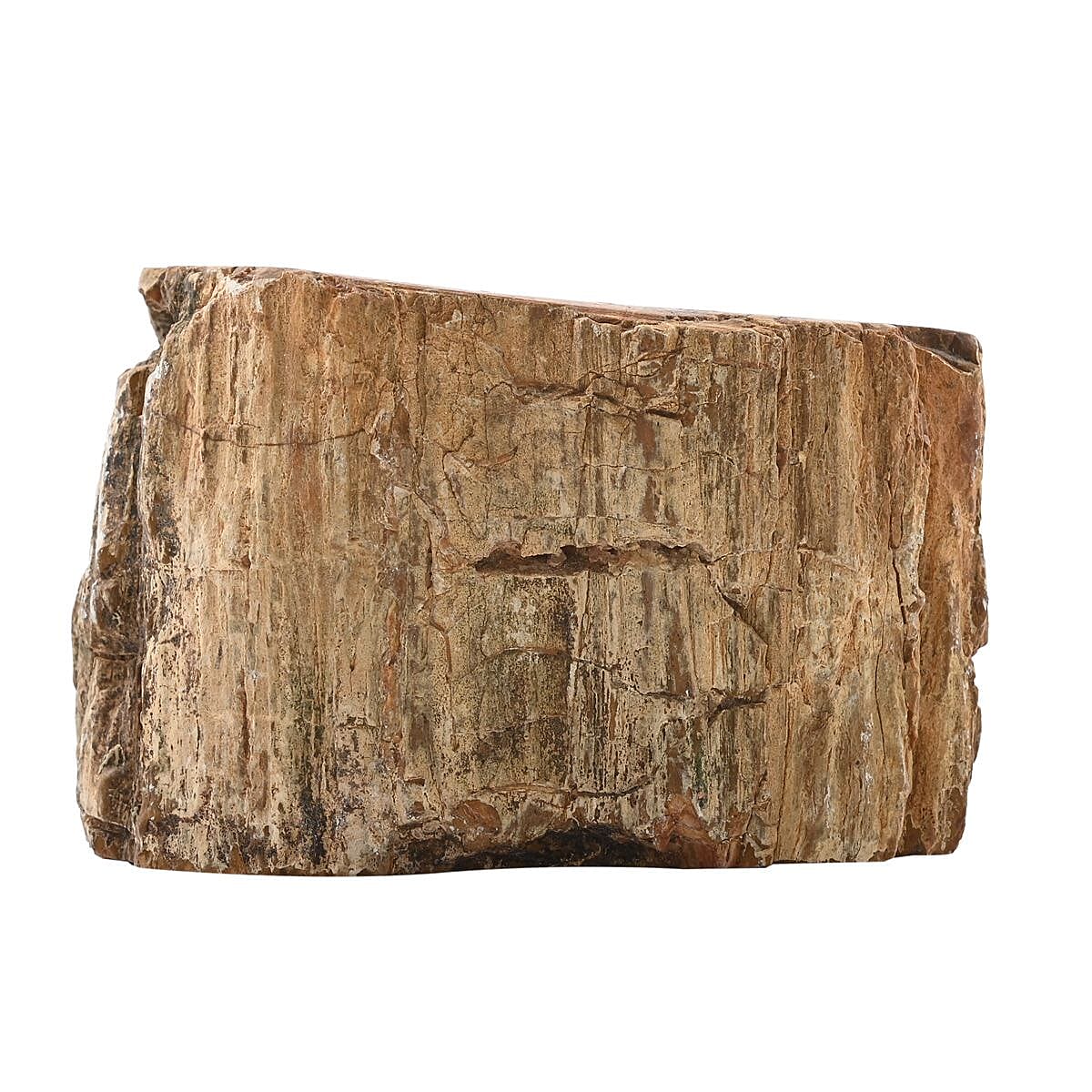 Petrified Wood Branches -M (Approx. 2395 ctw) image number 4