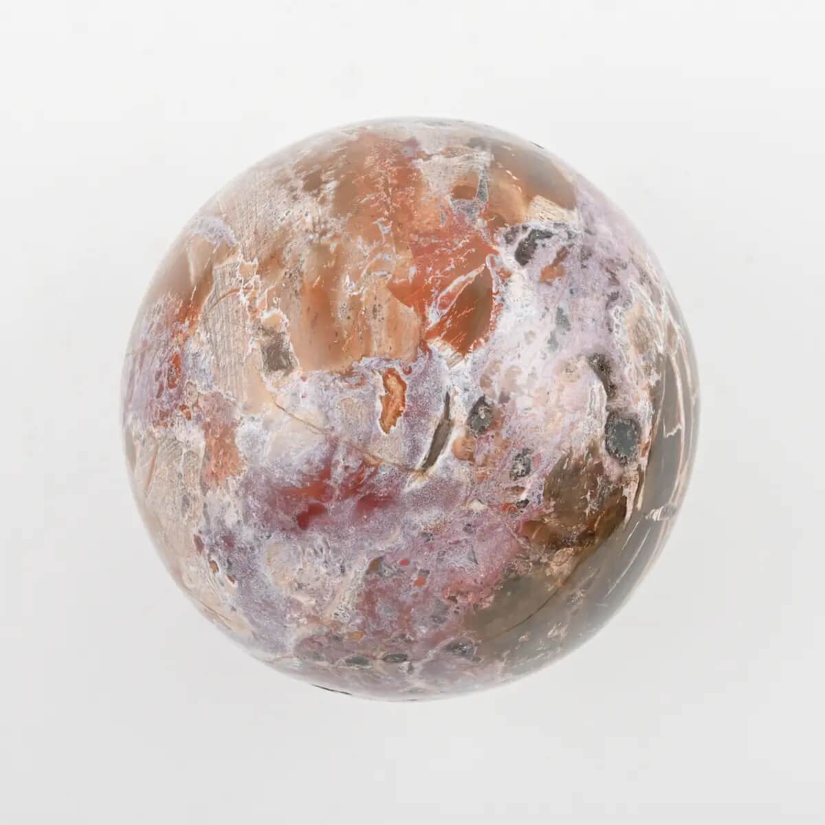 Petrified Wood Sphere 4- 5 Inches -L (Approx. 11945 ctw) image number 6