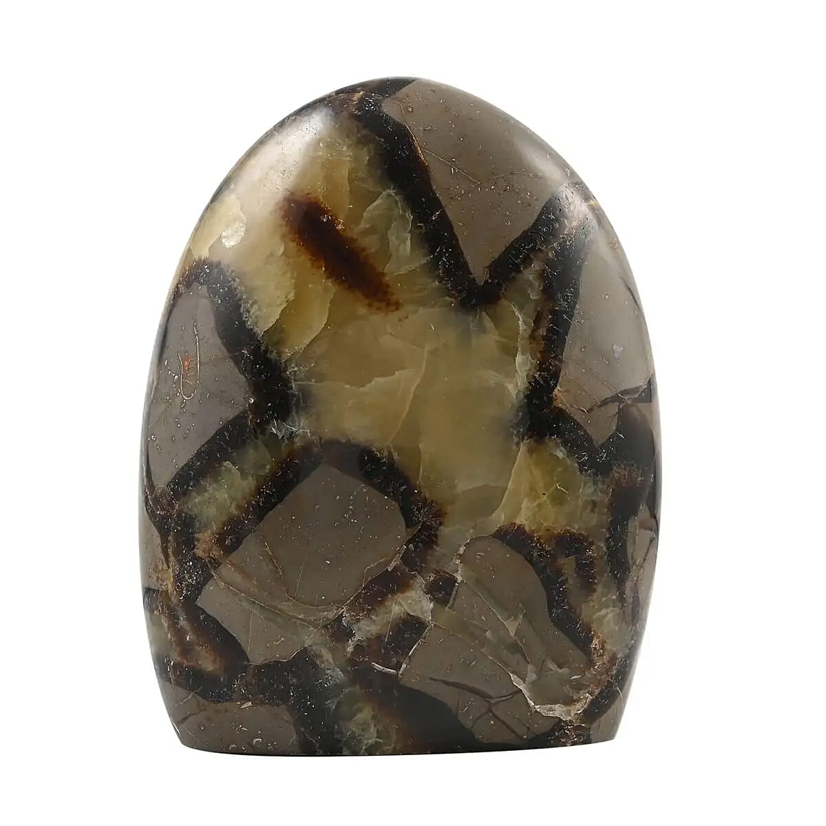 Septarian Free Form -Red Dot - M (Approx. 3505 ctw) image number 3