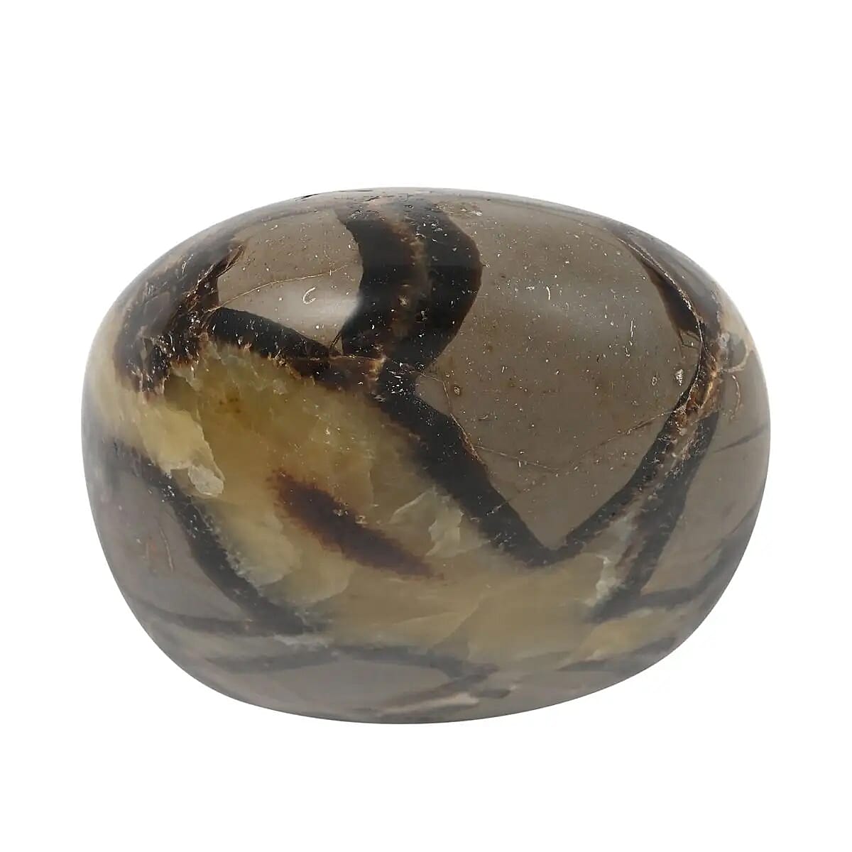 Septarian Free Form -Red Dot - M (Approx. 3505 ctw) image number 5