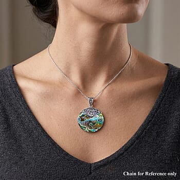 Abalone Shell - Product card gallery slide 3 (9431176347903)