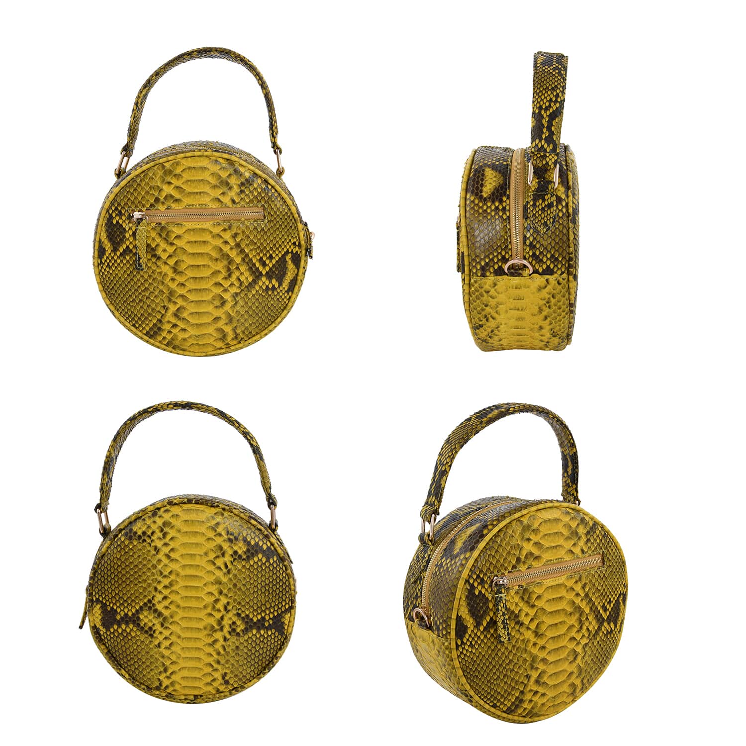 Round best sale snakeskin bag