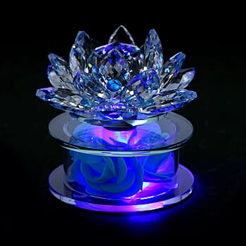 Blue - Product card gallery slide 2 (10176810516793)