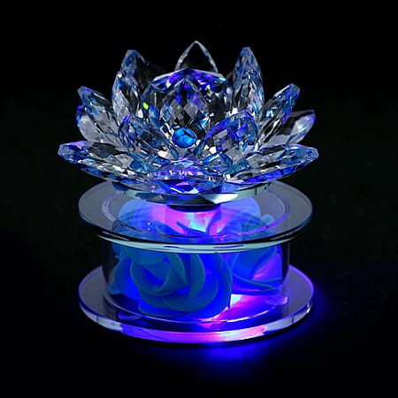 Blue - Product card gallery slide 2 (10176810516793)