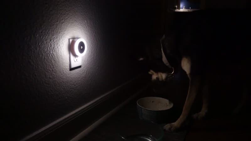 Set of 6 White Square Plug-in Night LED Light with Sensitive Light Sensor (2.36"x2.36")