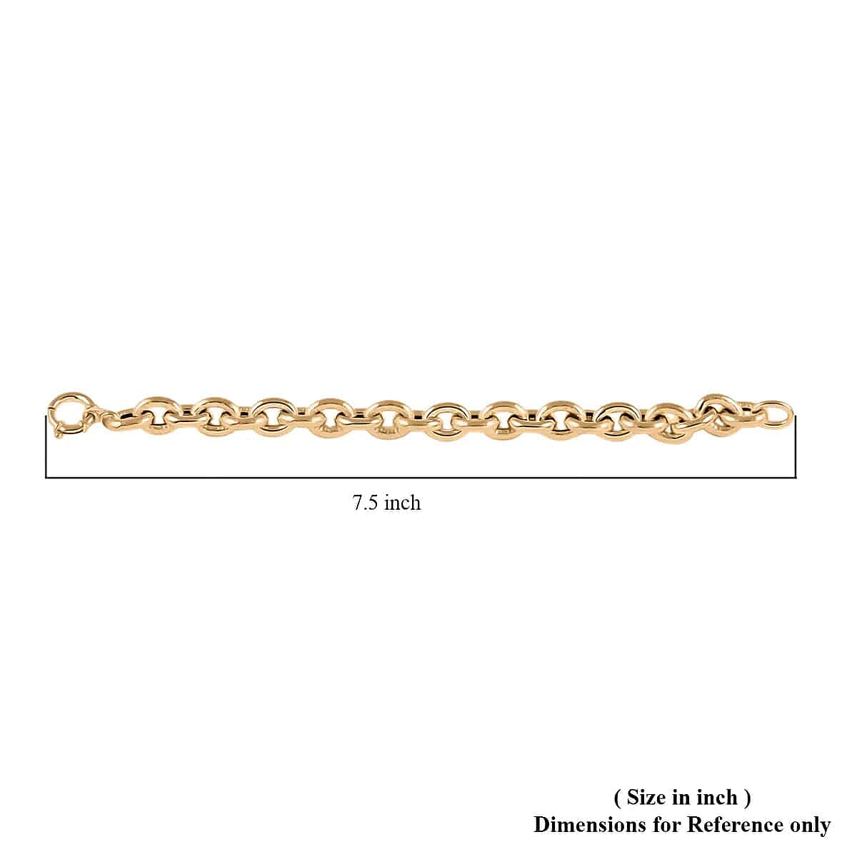 Ottoman Treasure 10K Yellow Gold Curb Bracelet, Oversized Curb Bracelet, Gold Bracelet, Gold Gift (7.50 In) 11.5 Grams
