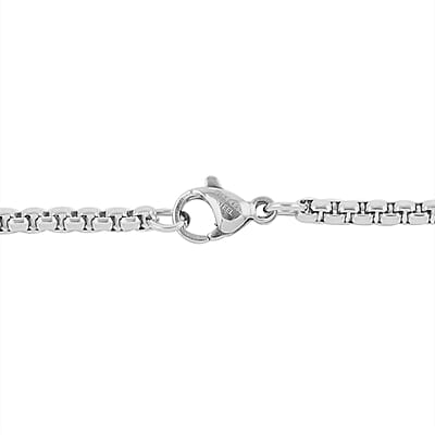 Box Chain Necklace in Stainless Steel (24 Inches) 14 Grams