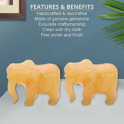 Elephant - Product card gallery slide 3 (10176827490617)