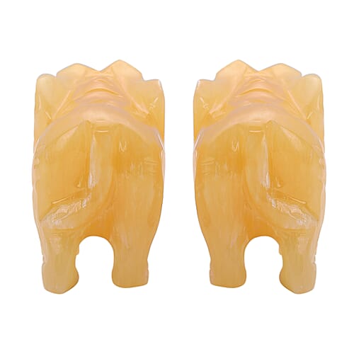 Elephant - Product card gallery slide 4 (10176827490617)