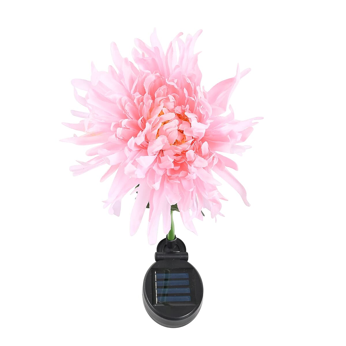 Set of 2 Solar Carnation Garden Light - Pink image number 5