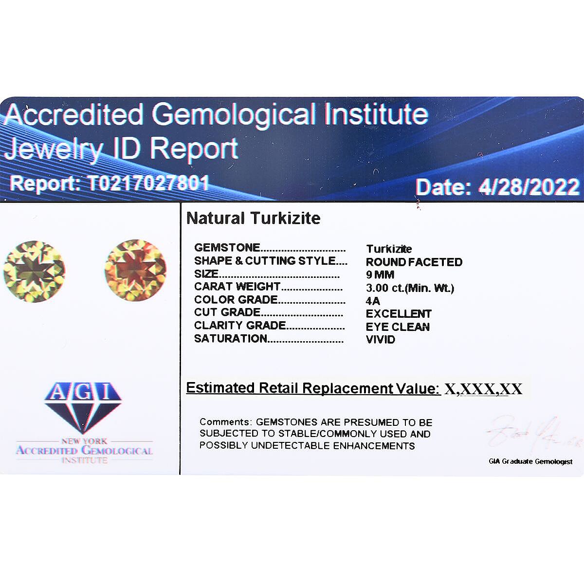 Certified & Appraised AAAA Turkizite (Rnd 9 mm) 3.00 ctw image number 6