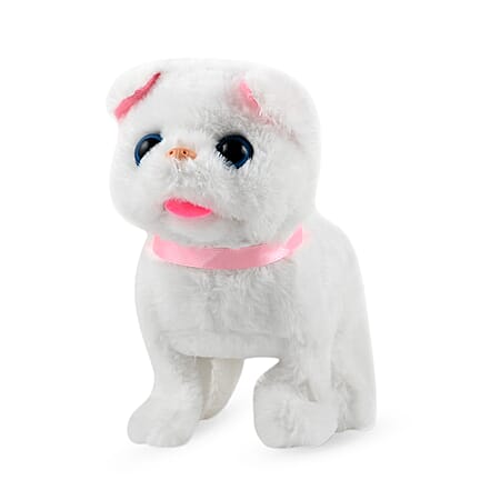 Cat - Product card gallery slide 1 (10176838697273)