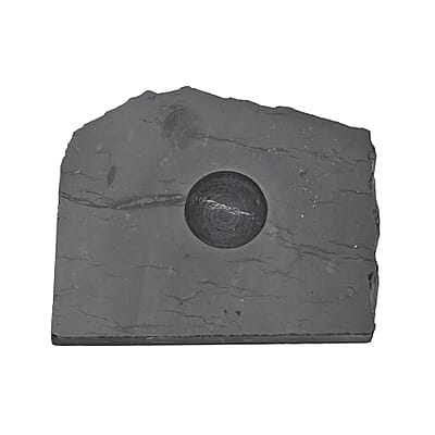 Tree of Life Engraved Shungite Sphere with Stand
