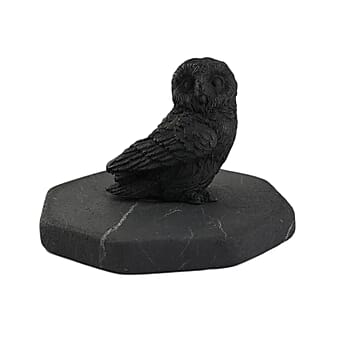 Owl - Product card gallery slide 1 (10176850919737)