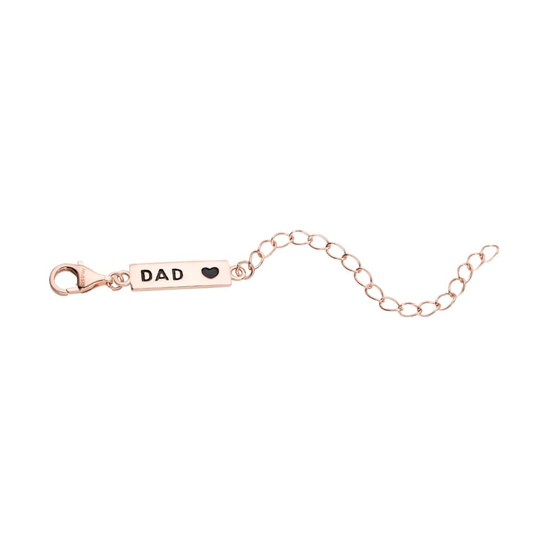 14K Rose Gold Over Sterling Silver 9mm Lobster Lock with DAD Tag Extender Chain (2 In)